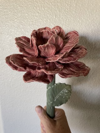 Peony Flower: Oct