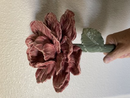 Peony Flowers: Sept 2025