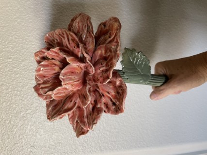 Peony Flowers: Sept 2025