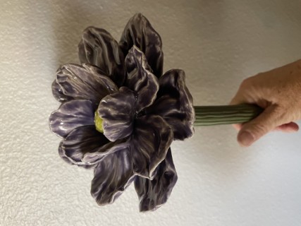 Peony Flowers: Sept 2025