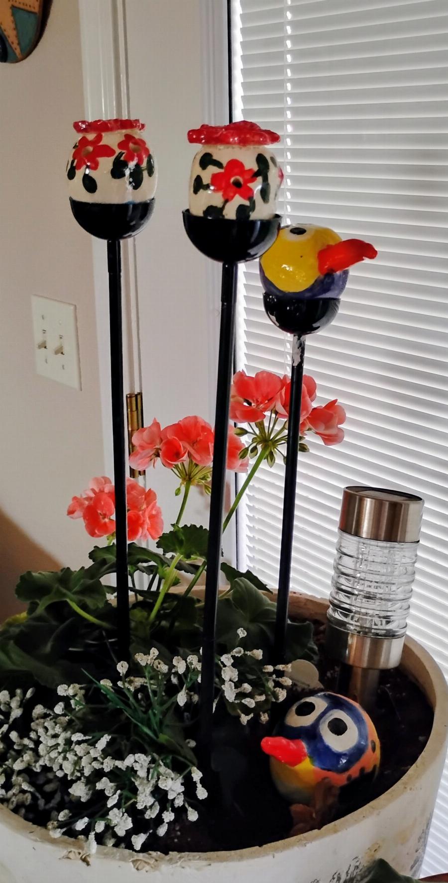 Hummingbird Feeder: Mar. 2026