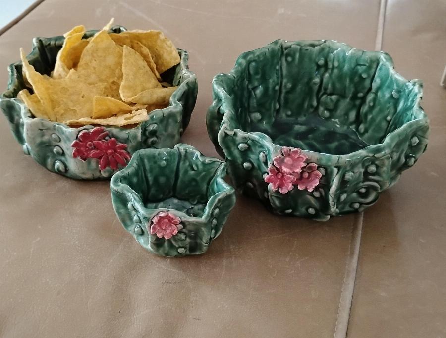 Cactus Bowls: June 2026